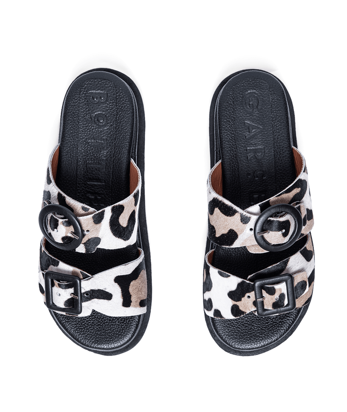 Allegra Leopard