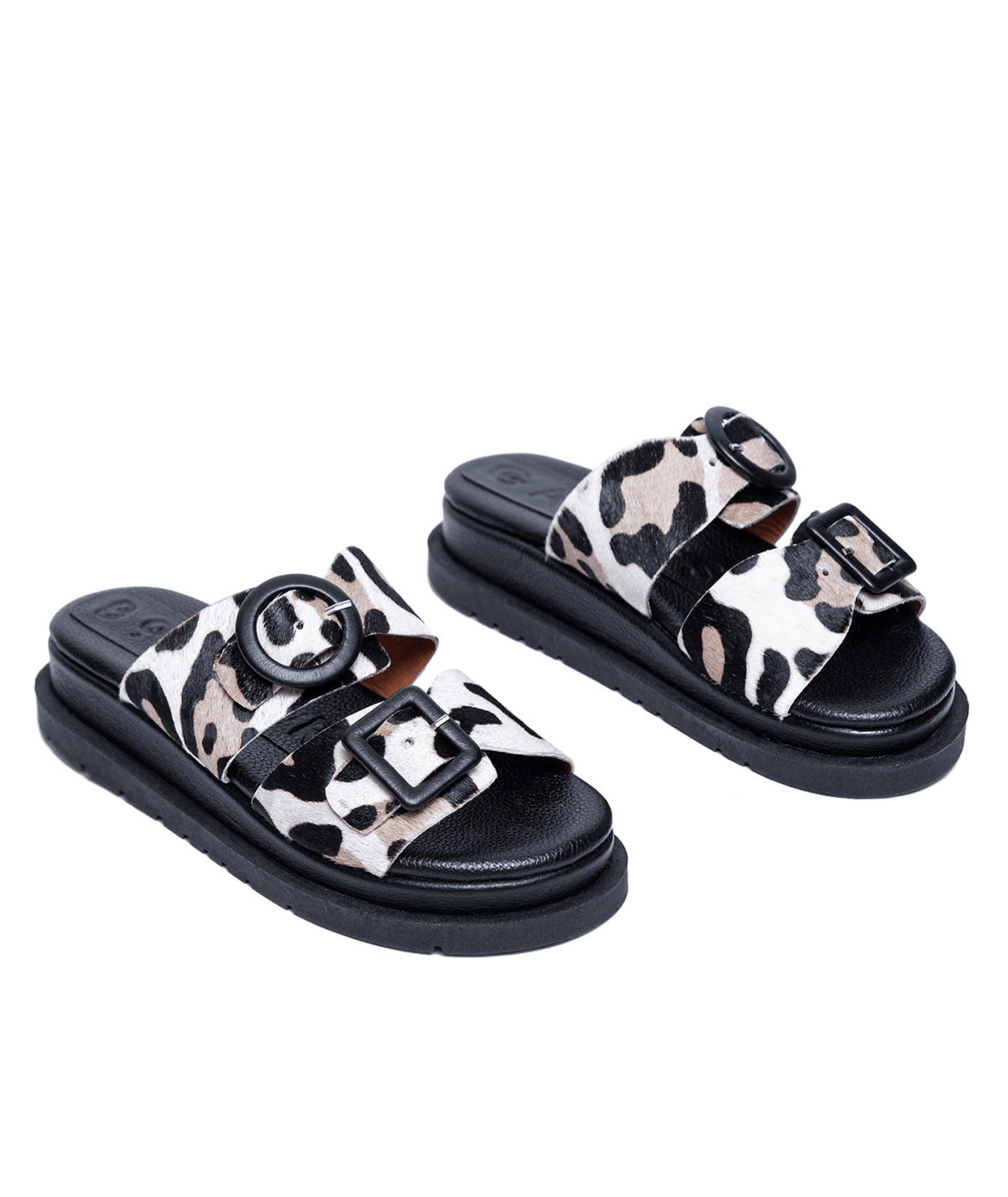 Allegra Leopard