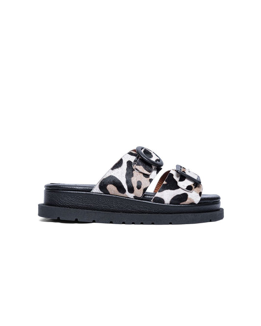 Allegra Leopard